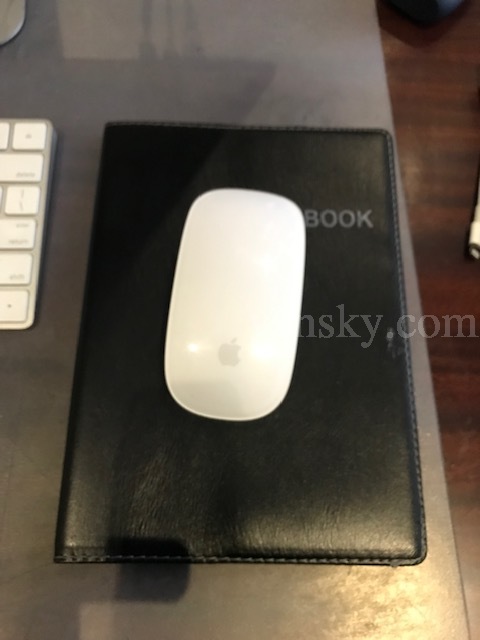 220304095844_Apple Mouse1.jpg